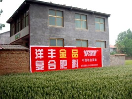 封丘如何让墙体广告展现最大化效果