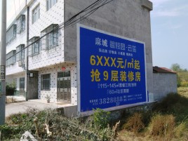 封丘墙体广告质量分析