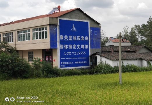 封丘决定墙体广告价格的因素有哪些？